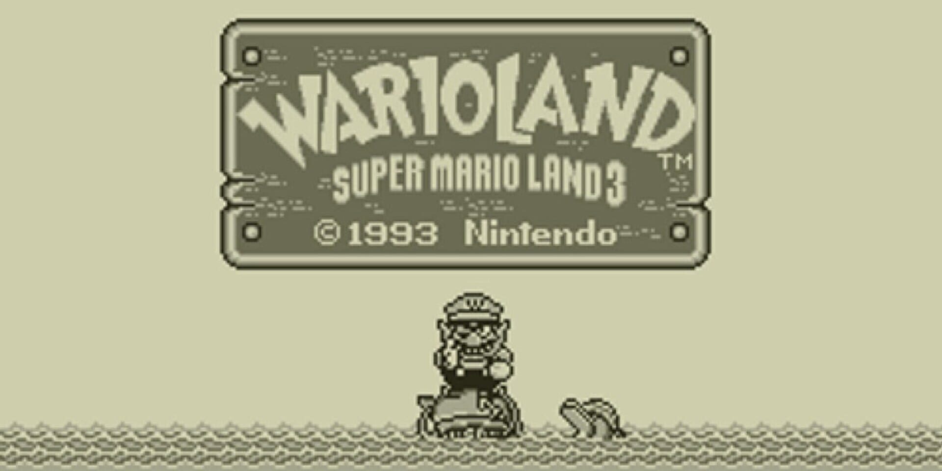 Artwork of Wario Land: Super Mario Land 3
