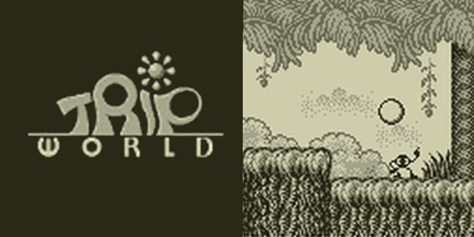 Artwork of Trip World