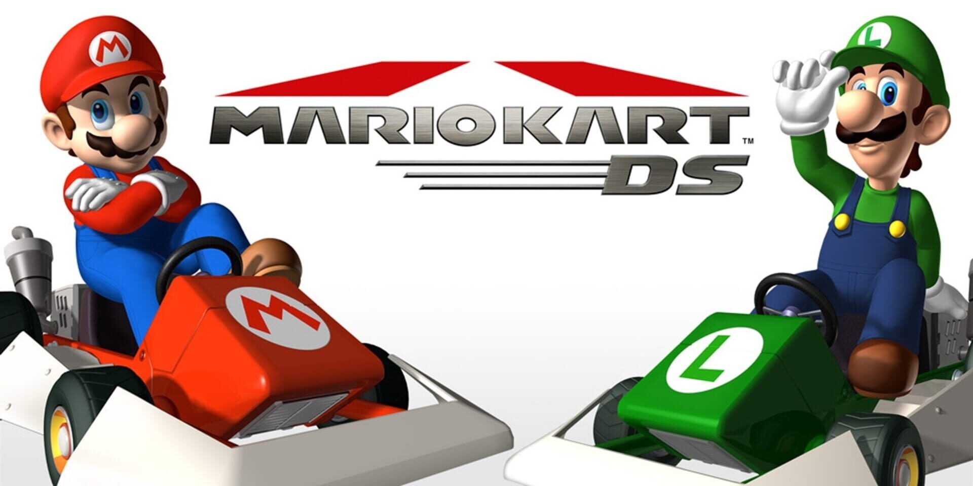 Artwork of Mario Kart DS
