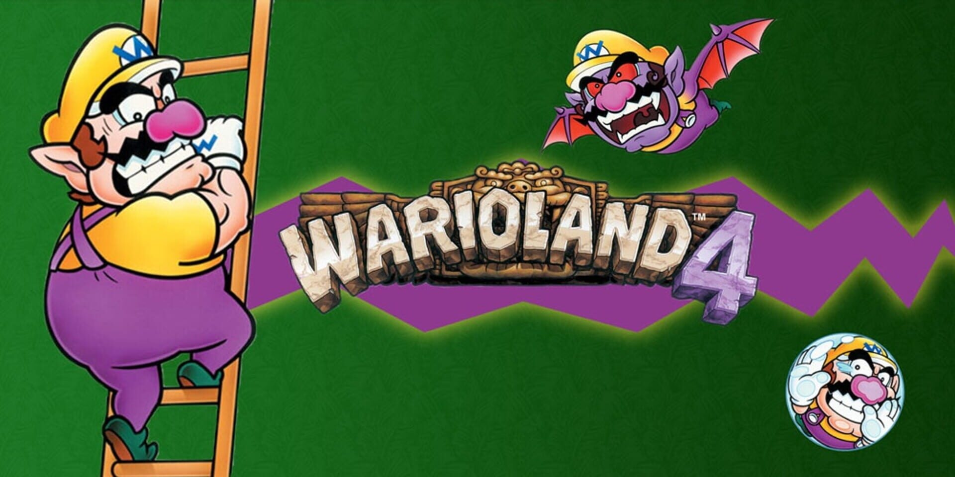 Artwork of Wario Land 4