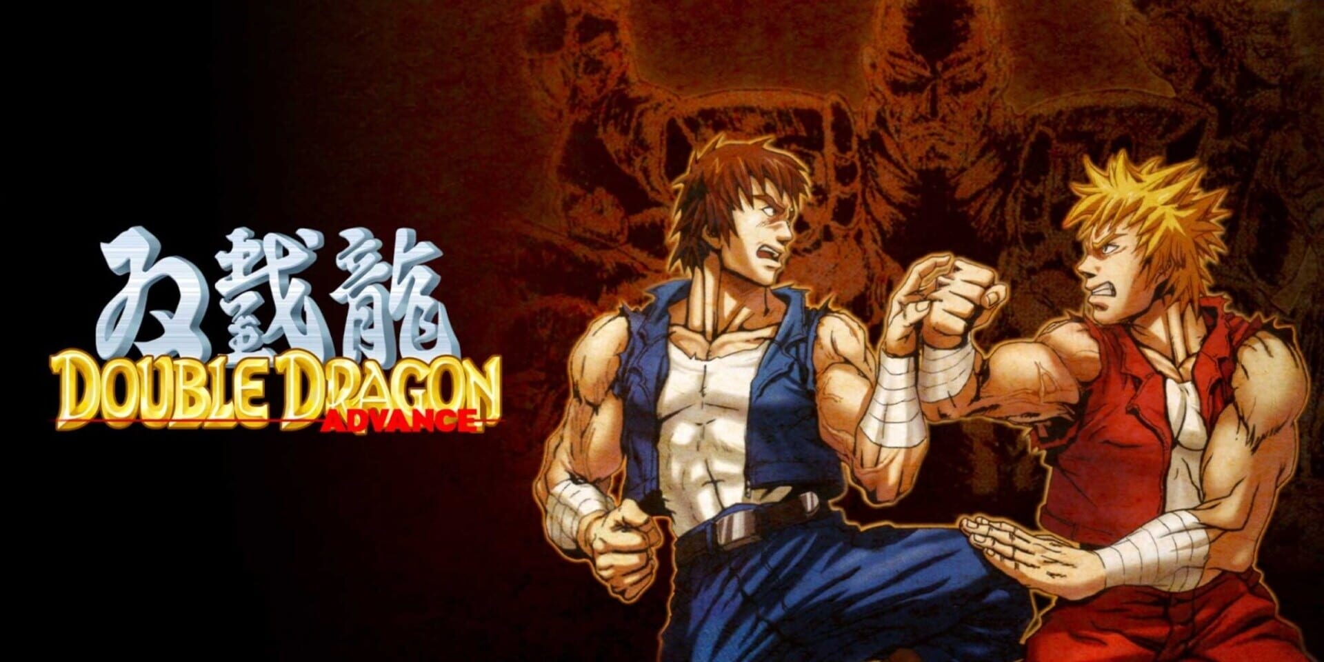 Artwork of Double Dragon Advance