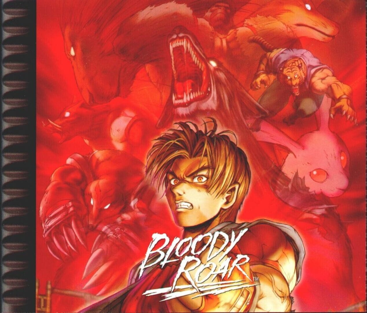 Artwork of Bloody Roar
