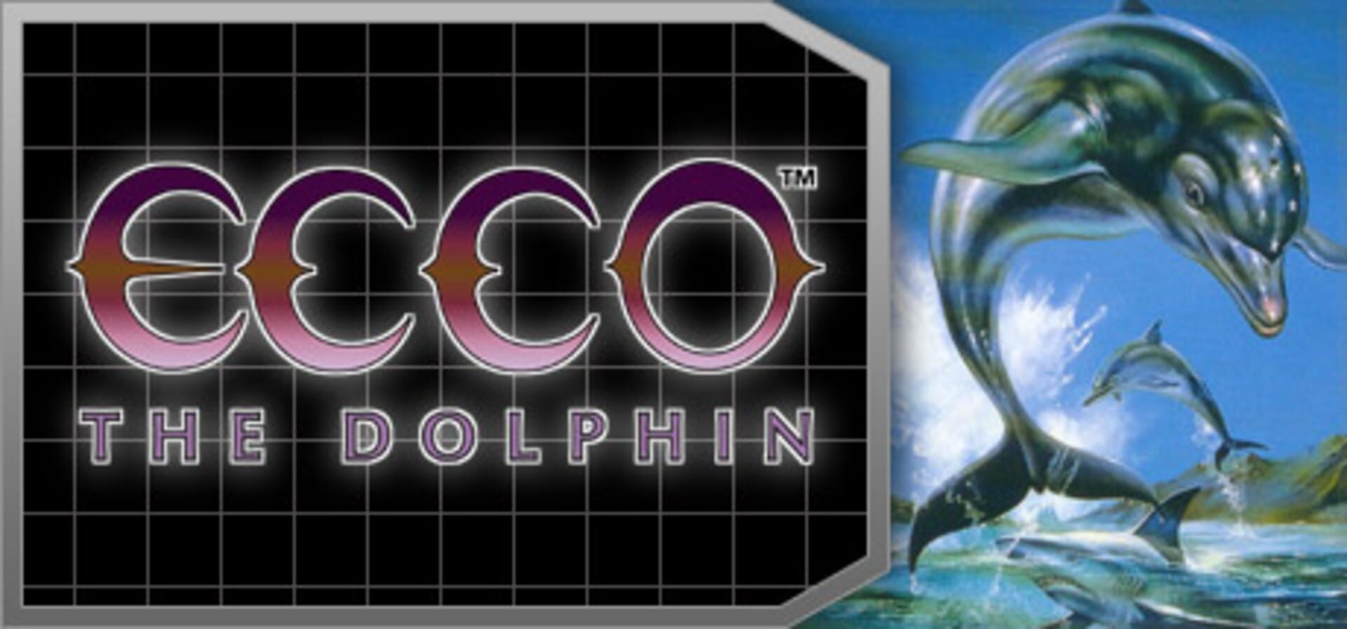 Artwork of Ecco the Dolphin