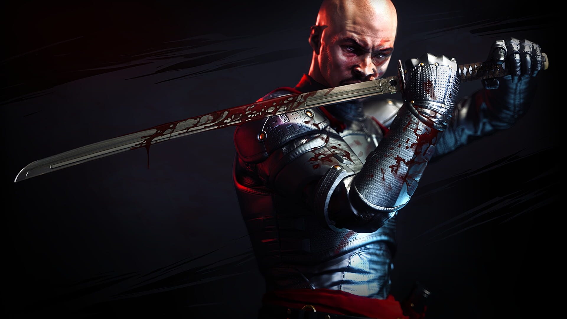 Artwork of Shadow Warrior