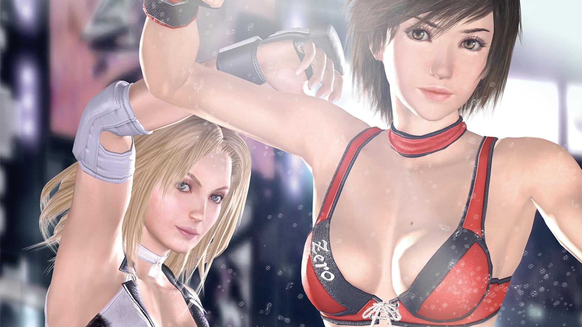 Artwork of Rumble Roses XX