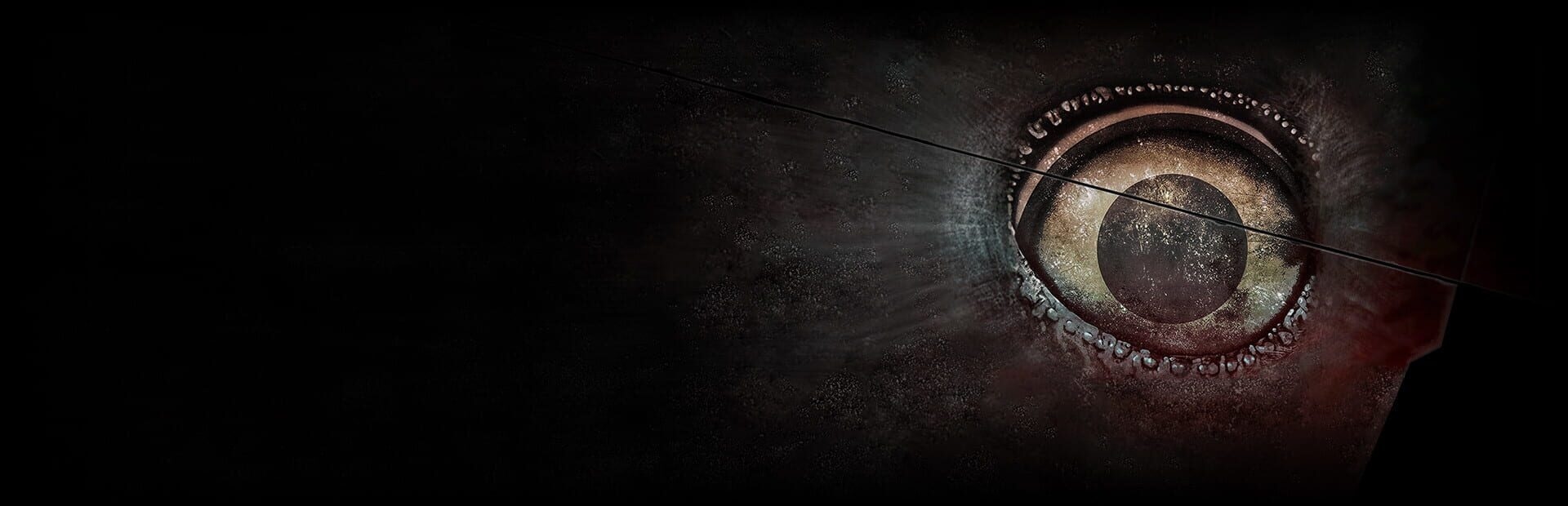 Artwork of The Crow's Eye