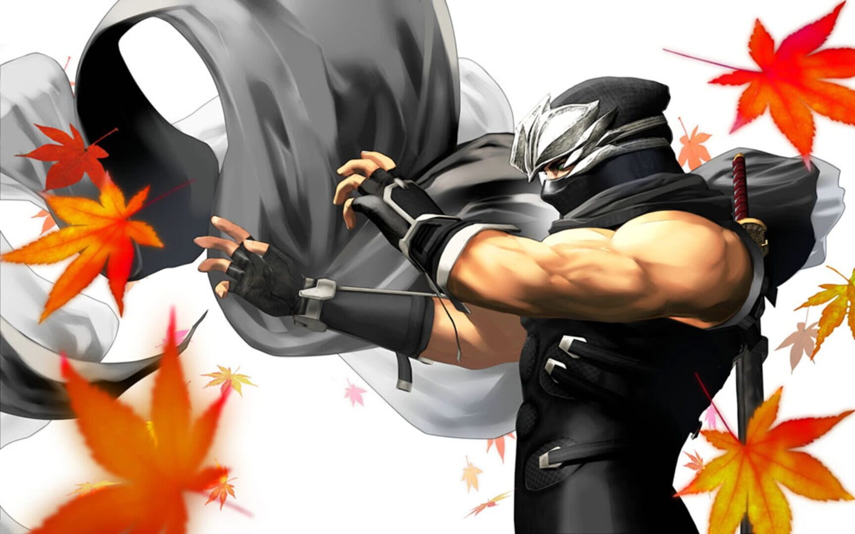 Artwork of Dead or Alive: Dimensions