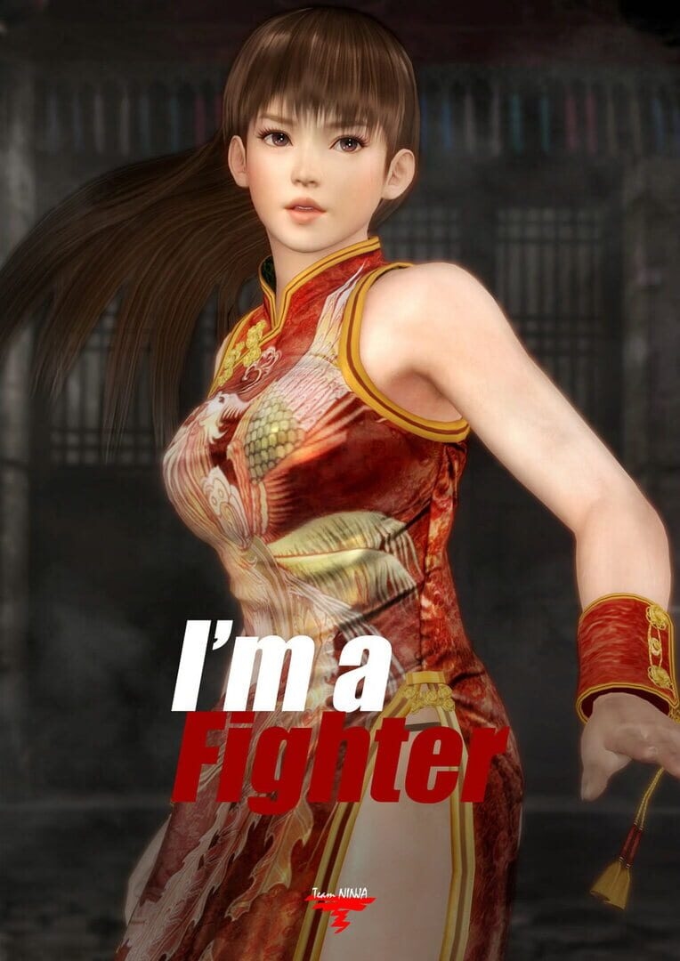 Artwork of Dead or Alive 5