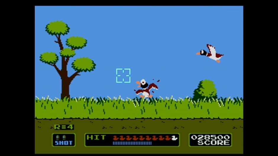 Screenshot Duck Hunt