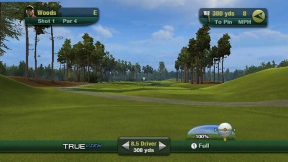 Screenshot Tiger Woods PGA Tour 11