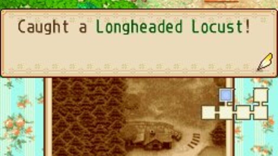 Screenshot Harvest Moon DS: Grand Bazaar