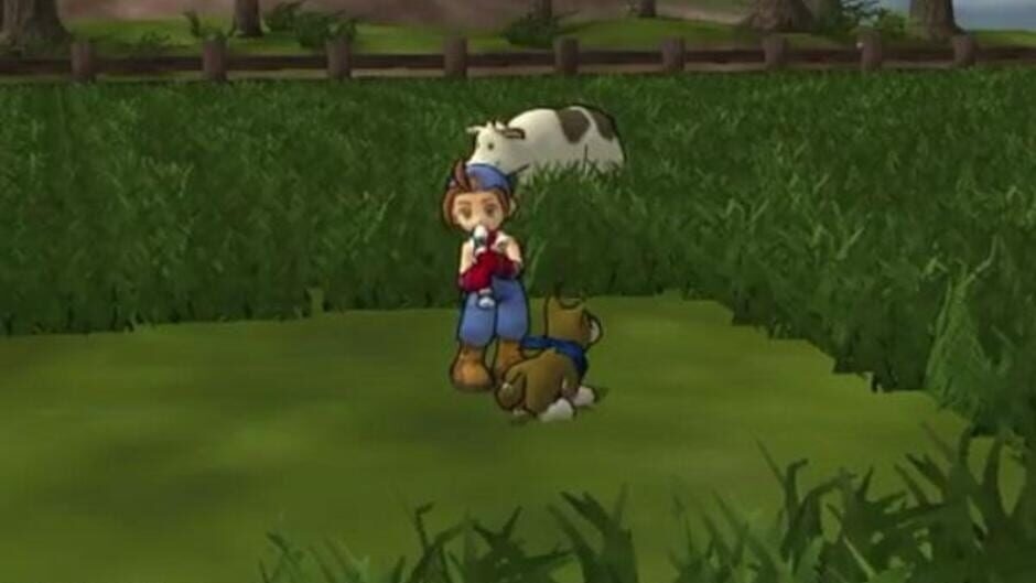 Screenshot Harvest Moon: Save the Homeland
