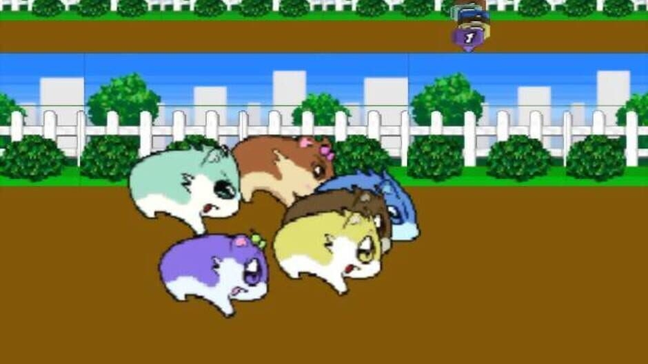 Screenshot Hamster Monogatari 64