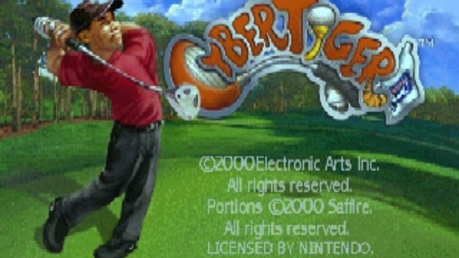 Screenshot Cyber Tiger