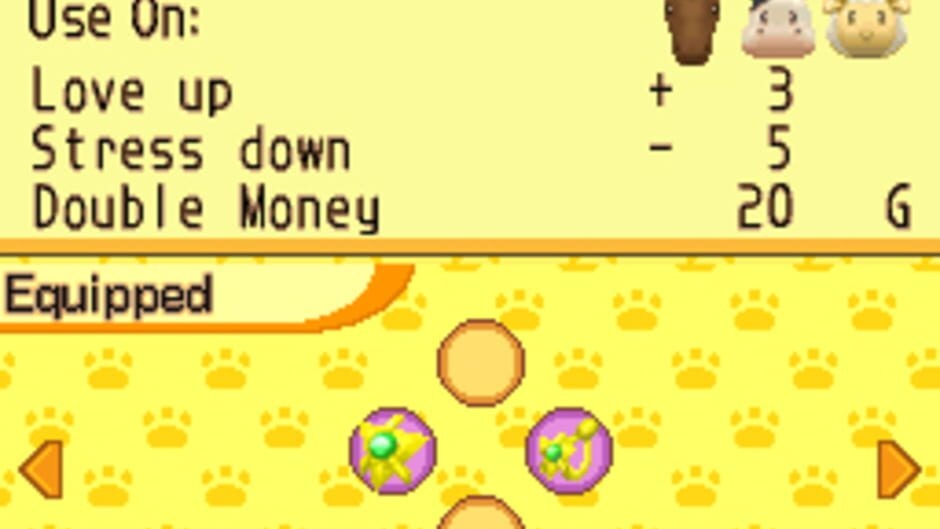 Screenshot Harvest Moon DS: Island of Happiness