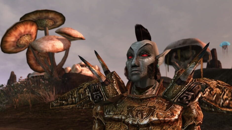Screenshot The Elder Scrolls III: Morrowind
