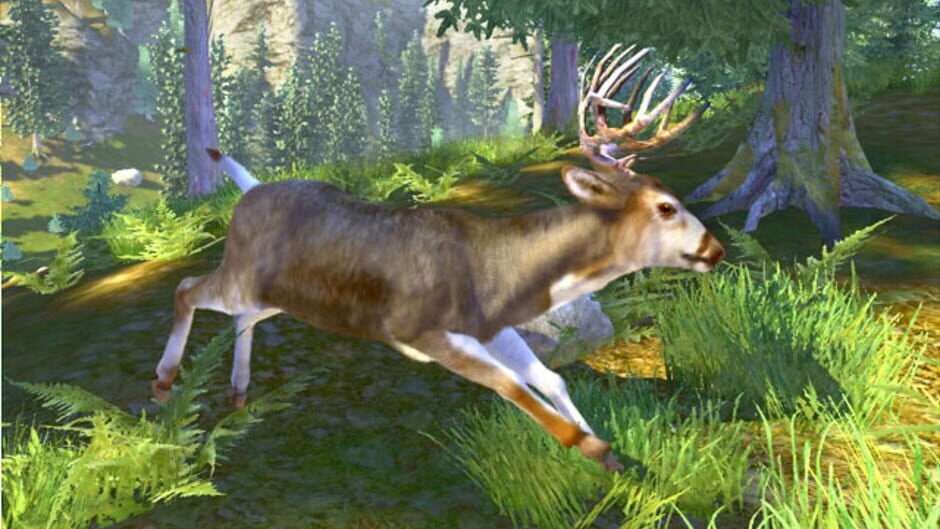 Screenshot Cabela's Trophy Bucks