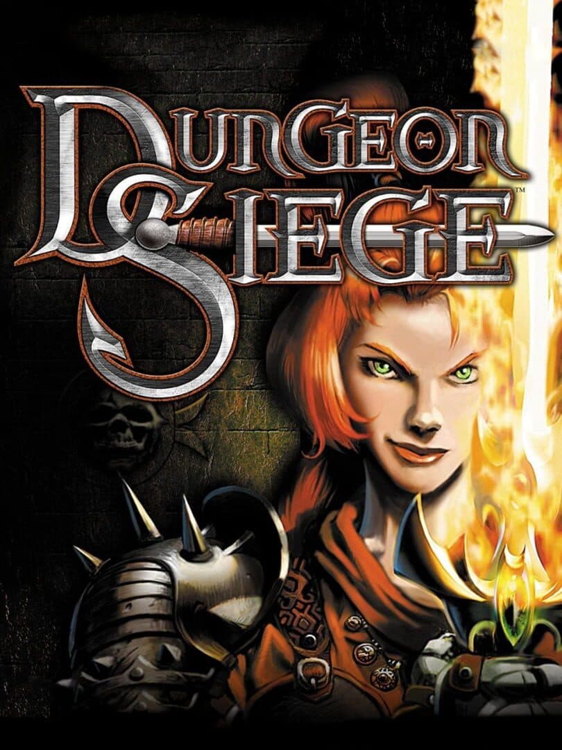 Cover of Dungeon Siege