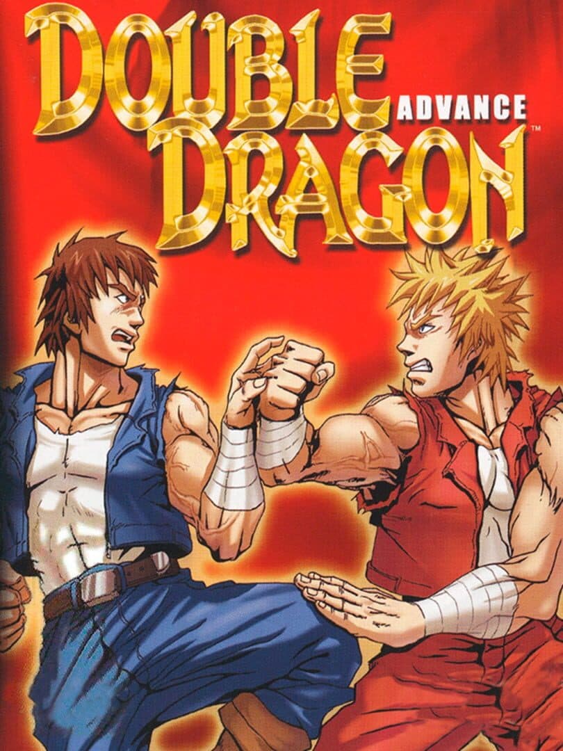 Cover of Double Dragon Advance