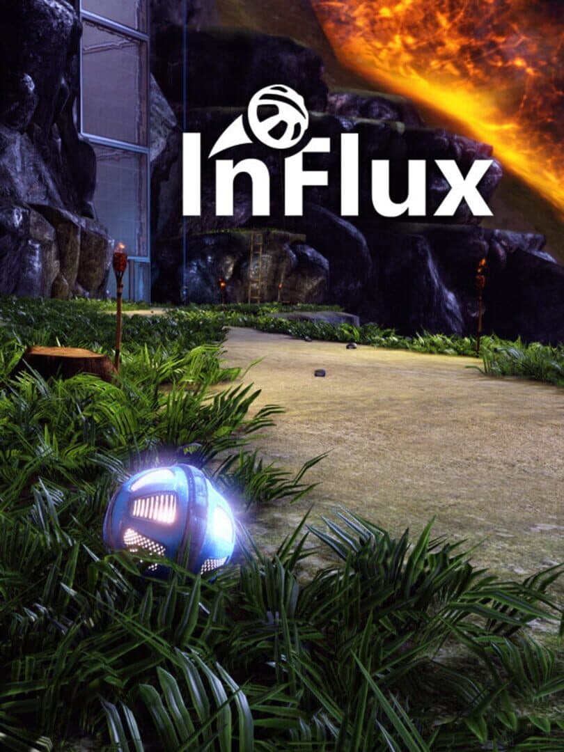 Cover of InFlux