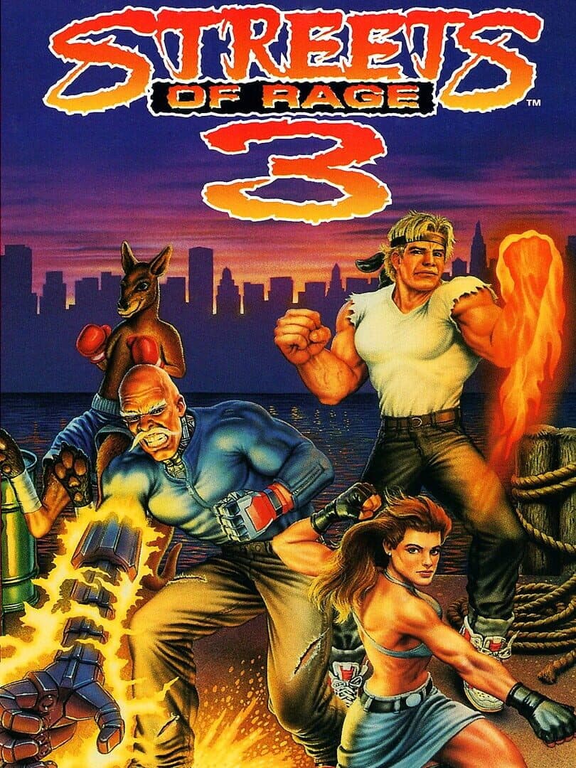 Cover of Streets of Rage 3