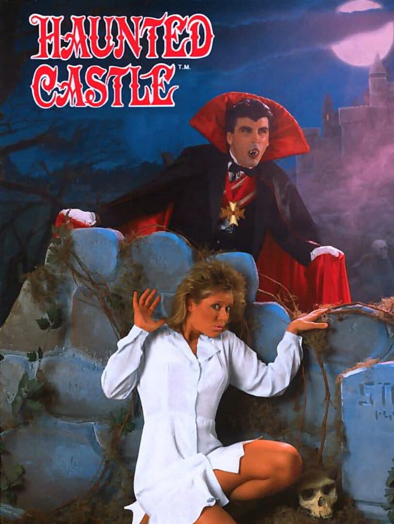 Cover of Haunted Castle