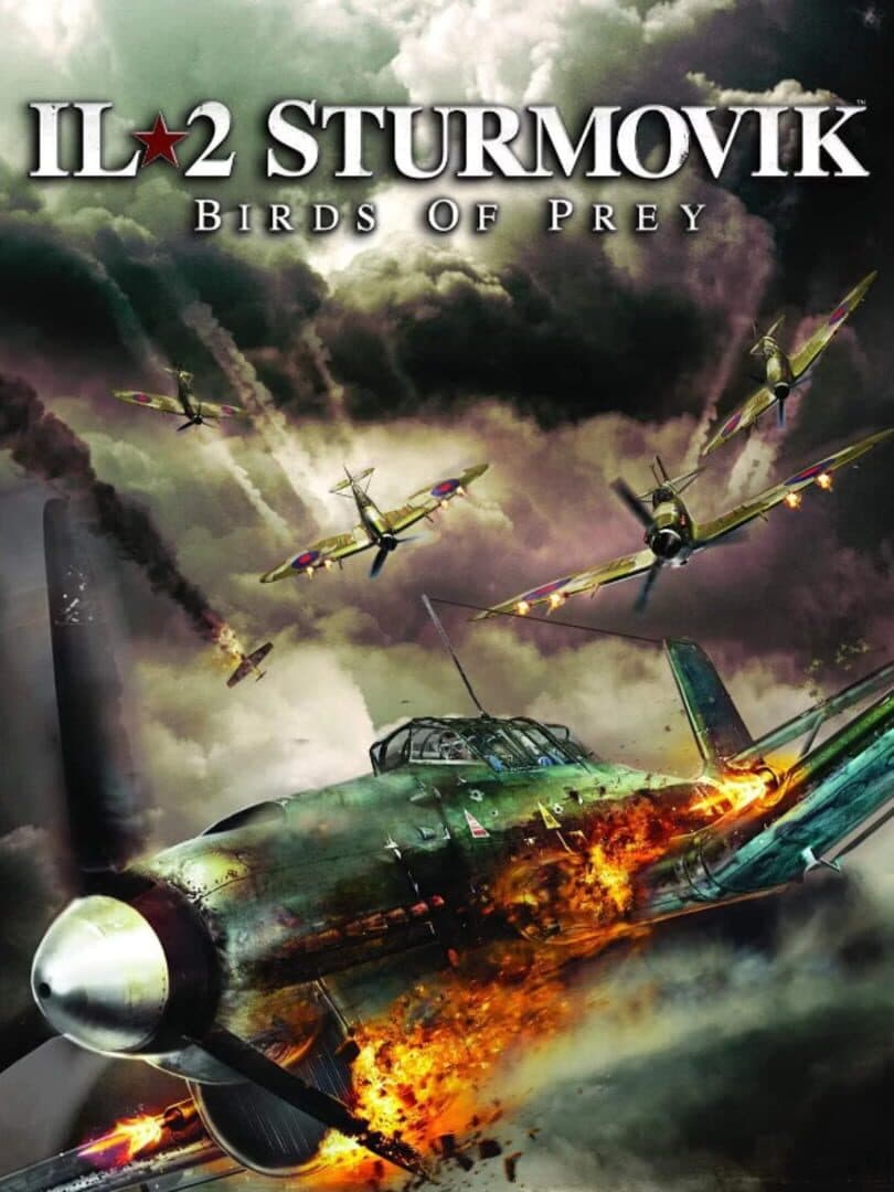 Cover of IL-2 Sturmovik: Birds of Prey