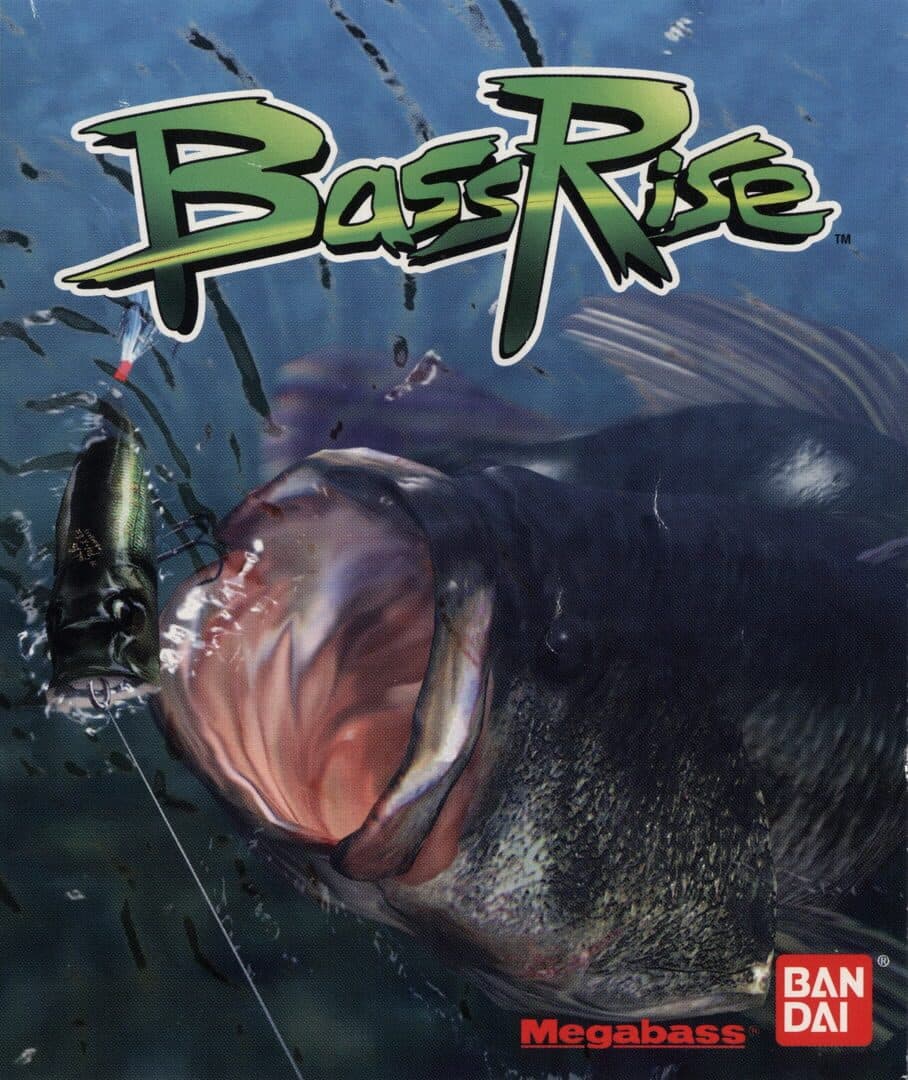 Cover of Bass Rise
