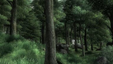 Miniature 5