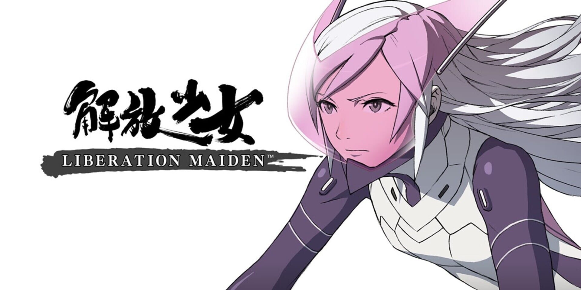 Artwork of Liberation Maiden