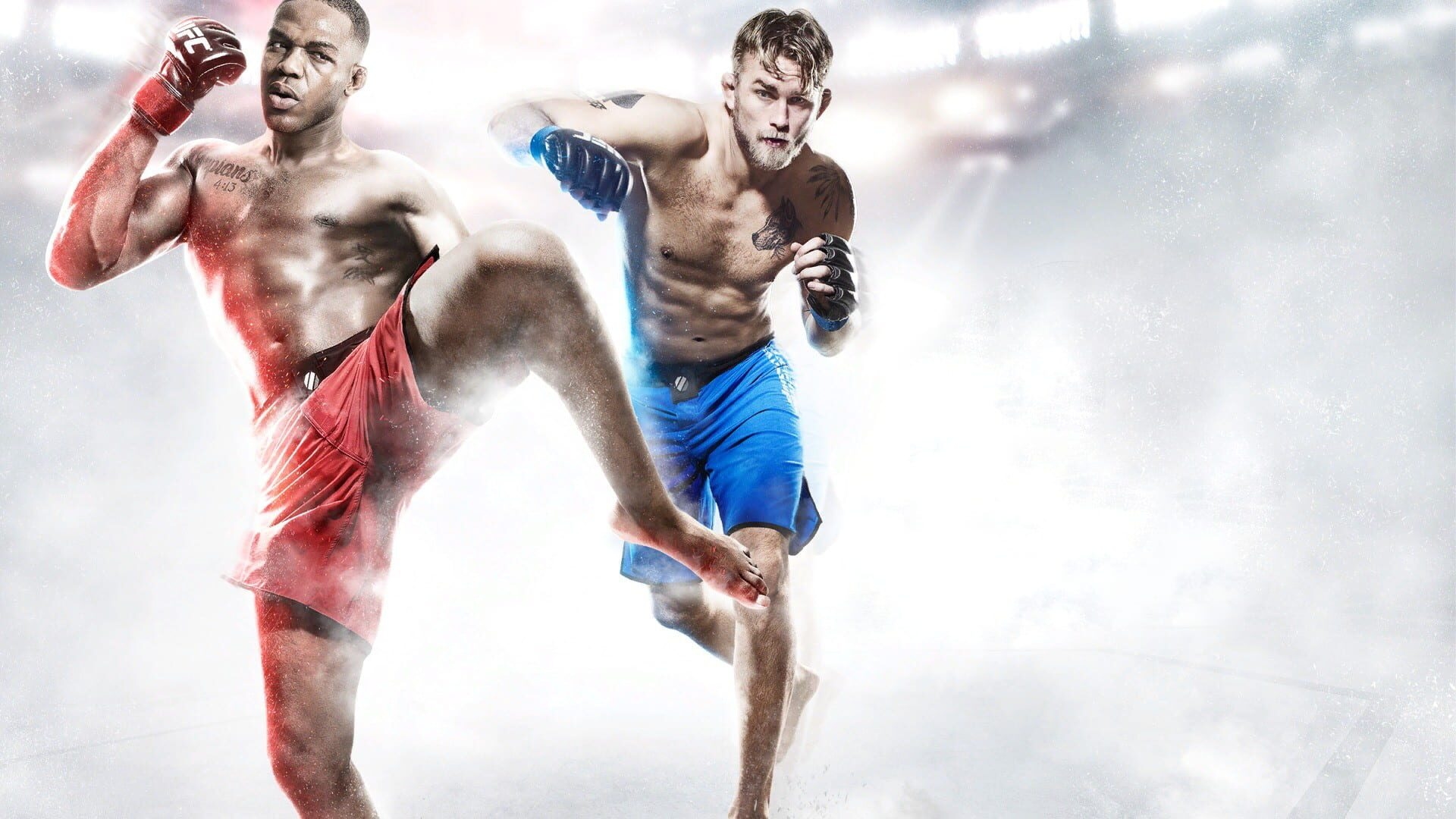 Artwork of EA Sports UFC