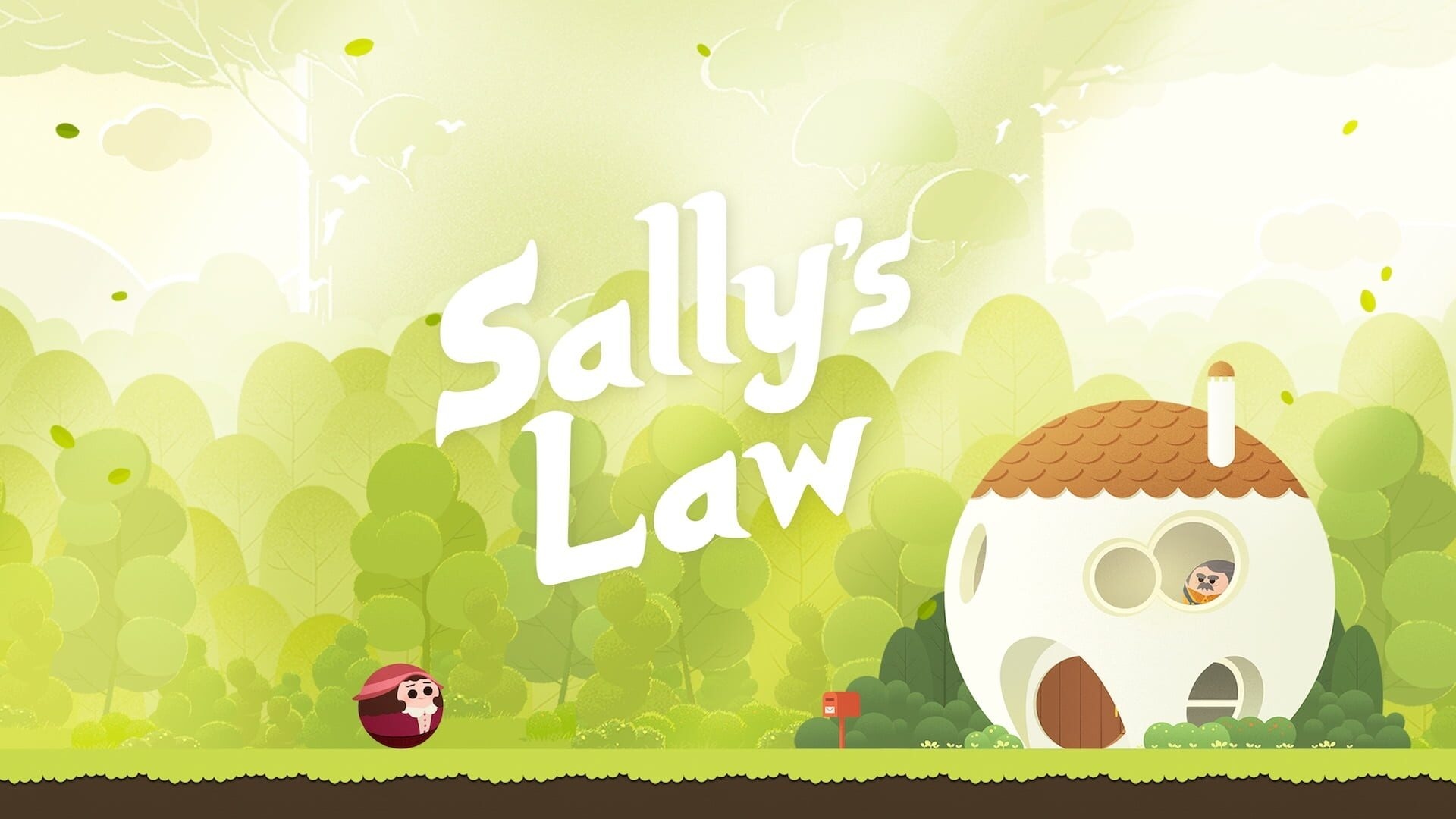 Artwork of Sally's Law