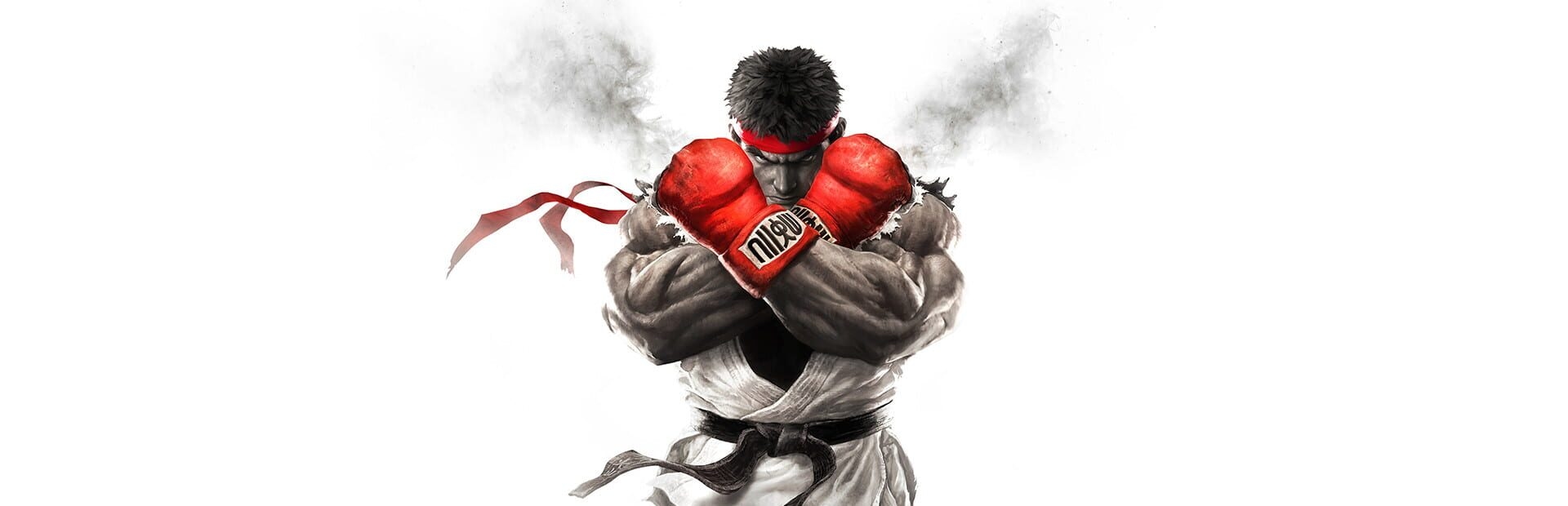 Artwork of Street Fighter V