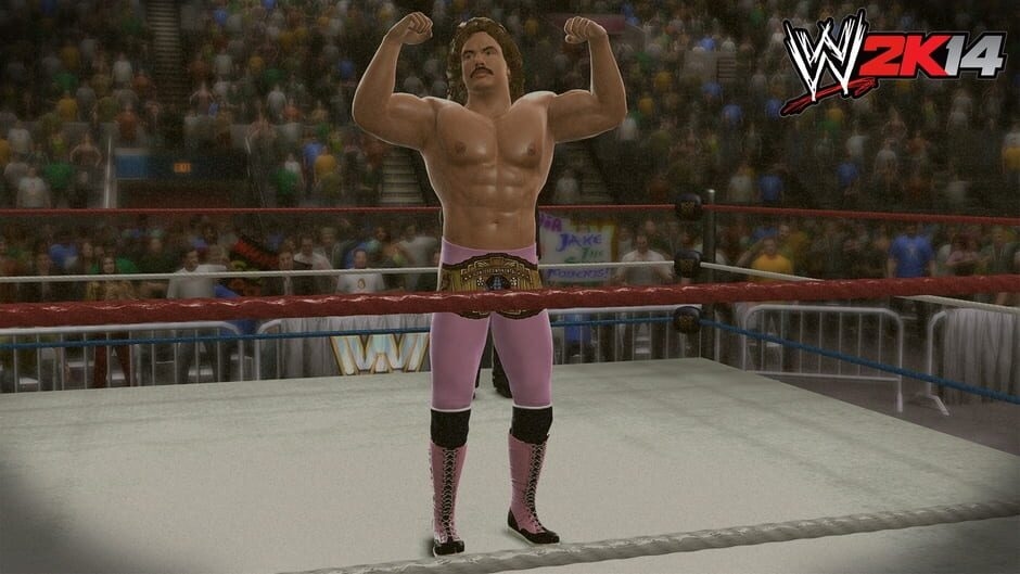 Screenshot WWE 2K14