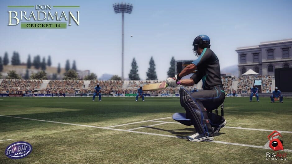 Screenshot Don Bradman Cricket 14