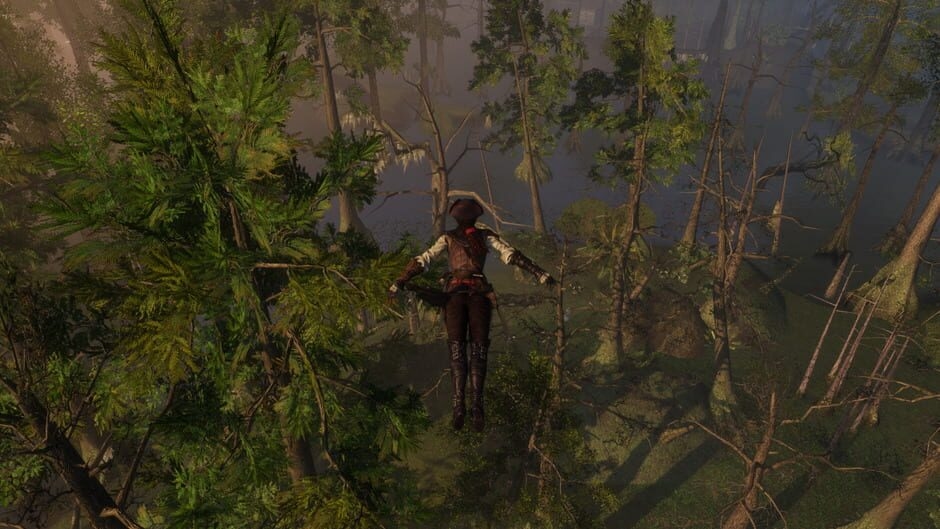 Screenshot Assassin's Creed III: Liberation
